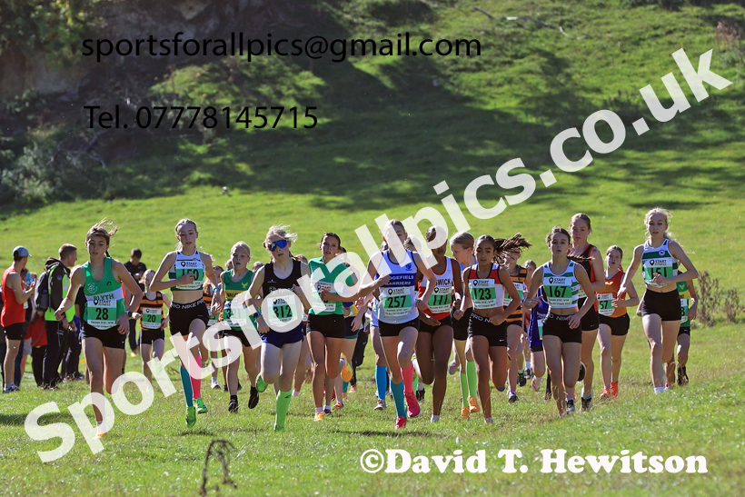 Girls Under-14s, 2026 NEHL, Thornley Hall Farm, Peterlee, County Durham. Photo: David T. Hewitson/Sports for All Pics